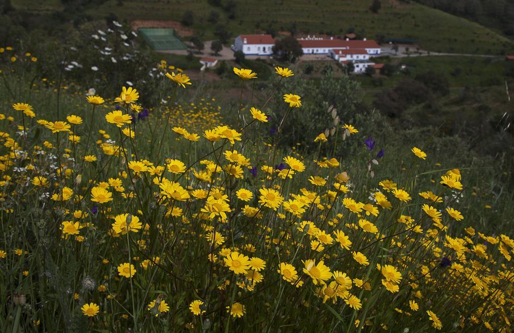 Quinta Do Chocalhinho Agroturismo & Spa Guest House Odemira Exterior photo