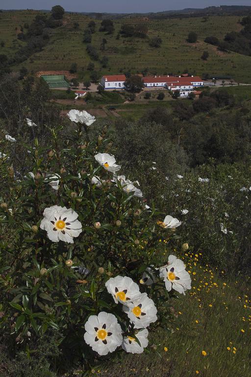 Quinta Do Chocalhinho Agroturismo & Spa Guest House Odemira Exterior photo